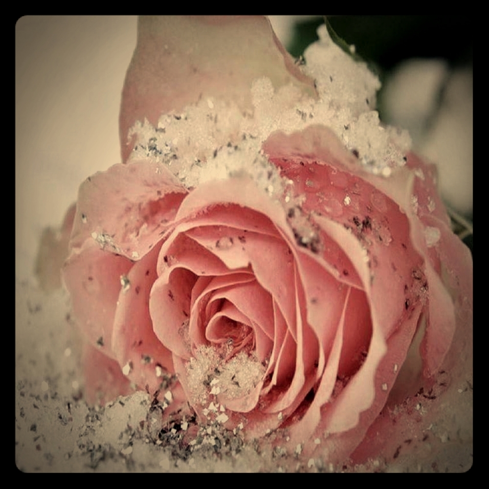 Meet your Posher, Mandy